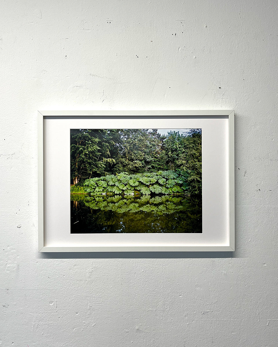 untitled 06