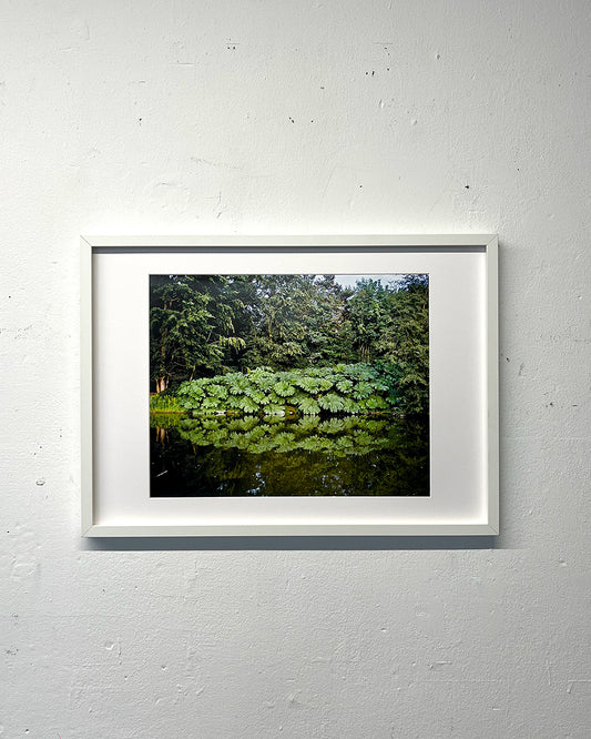 untitled 06