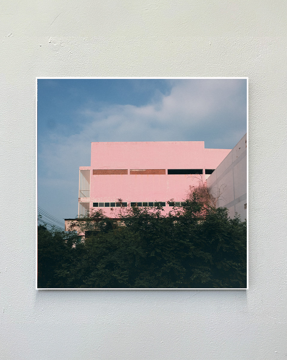 pink_house