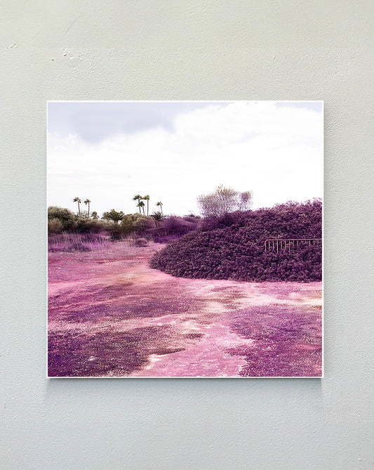 rose_space