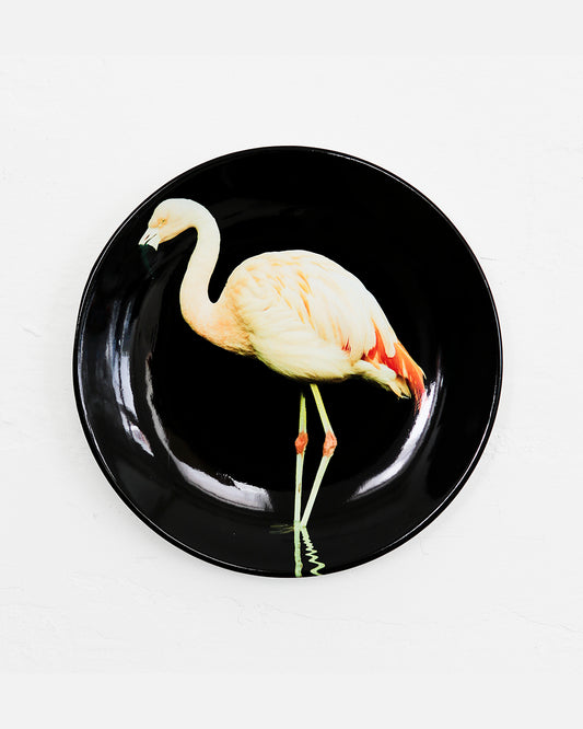 platerunner_flamingo_1