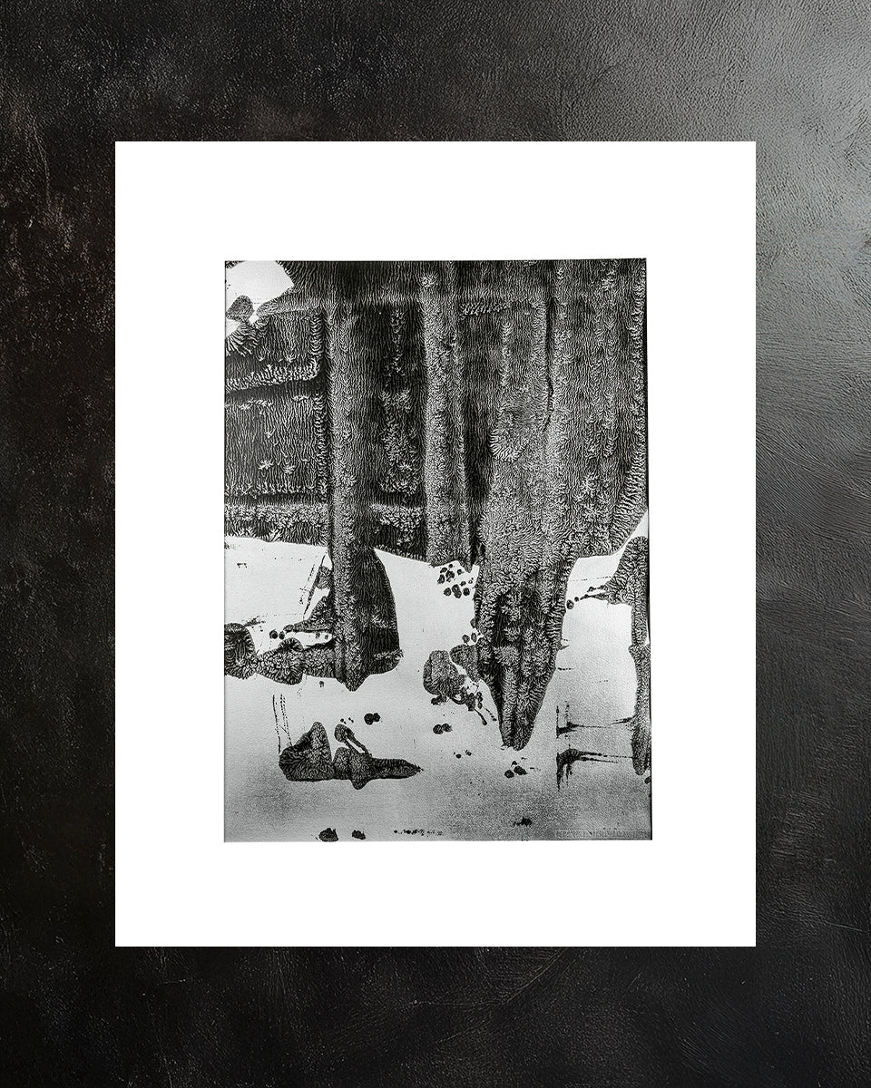 monoprint_3