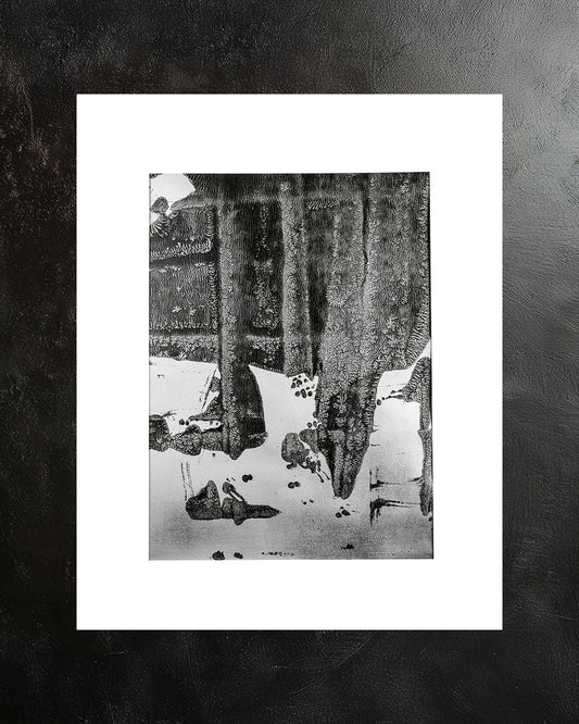 monoprint_3