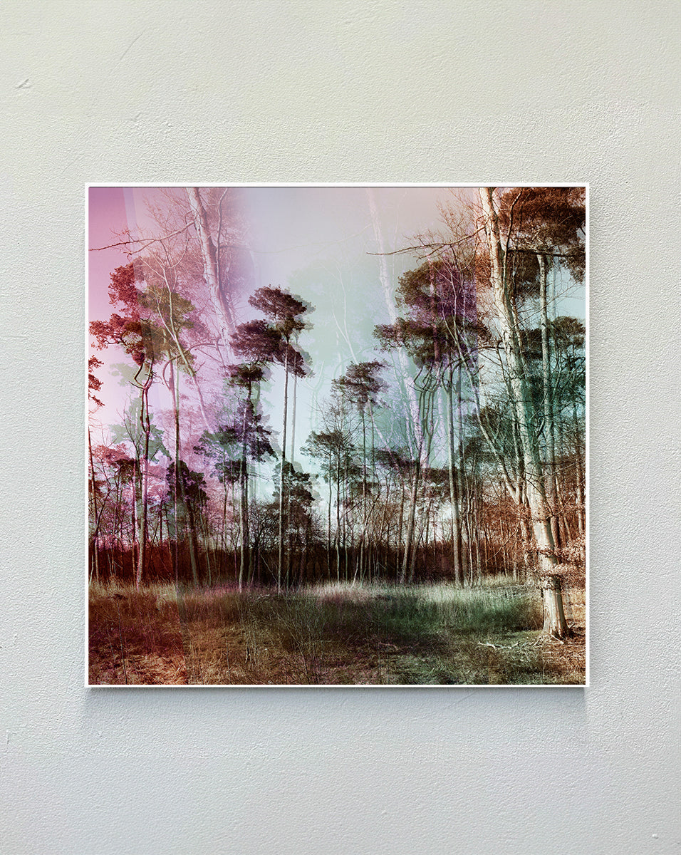 happy_trees