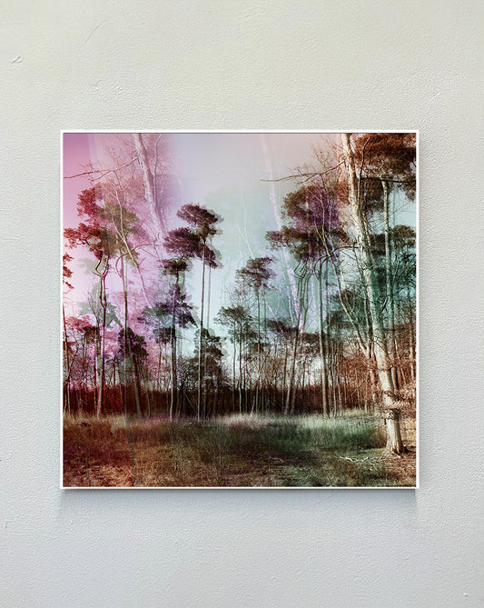 happy_trees