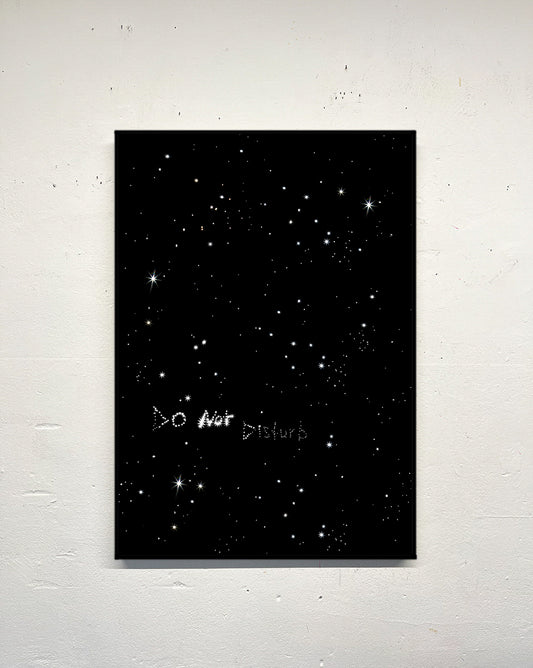 do_not_disturb_universe